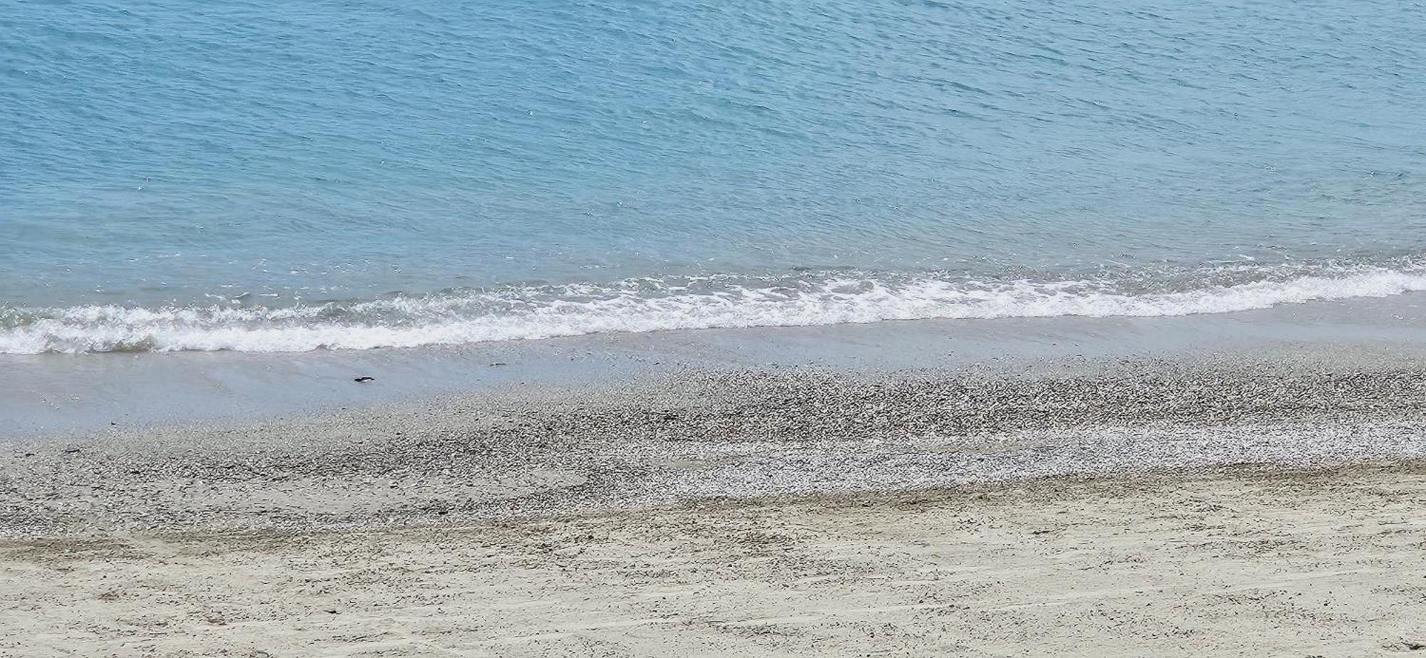 Vista Mare Savona Daire Dış mekan fotoğraf